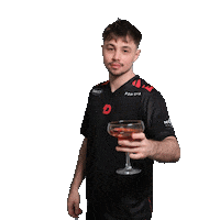 Cheers Team Sticker by Dynamo Eclot