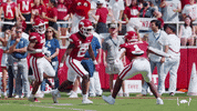 College Football Dap GIF by Arkansas Razorbacks