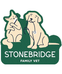 familyvetgroup vet veterinarian familyvet family vet Sticker
