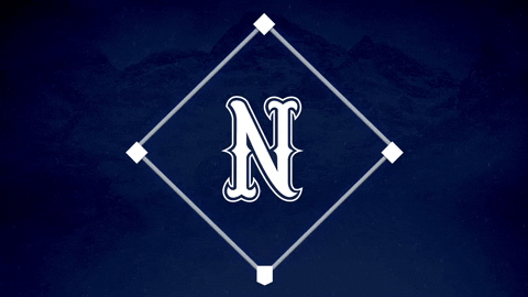 Baseball Softball GIF by Nevada Wolf Pack