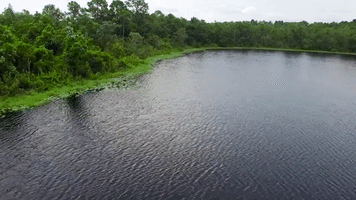 ucfknights drone ucf ucf knights GIF