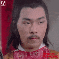 Martial Arts Yes GIF by Arrow Video