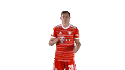 Clap Your Hands Football Sticker by FC Bayern Munich