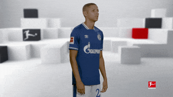 Posing Line Up GIF by Bundesliga