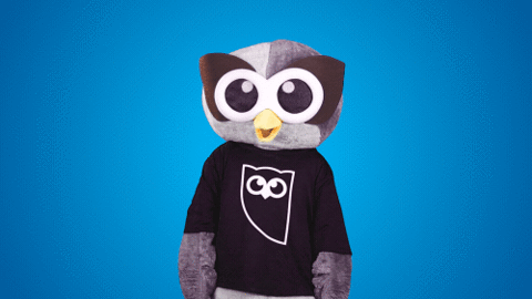 Video gif. Person wearing an owl costume and owl t-shirt points and looks up, alternating from one side to the other.
