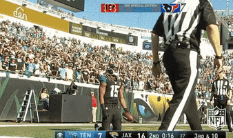 Jacksonville Jaguars Football GIF by NFL