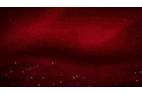 Merry Christmas GIF by RENPHO