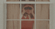 Wes Anderson Movie GIF