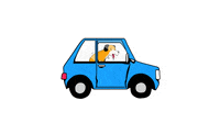 Dog Car GIF by veto_tierschutz