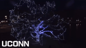 Winter Holiday GIF by UConn