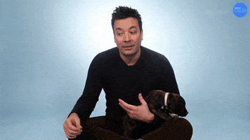 Youtube GIF by BuzzFeed