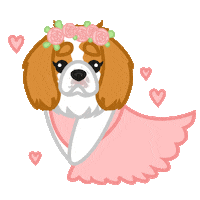 Abby Hello Sticker