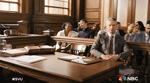 Episode 8 Nbc GIF by Law & Order