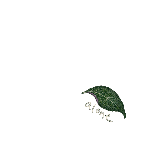 thewokestudio alone growth solo pun Sticker