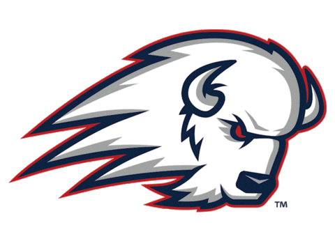 Dsu Sticker by Utah Tech University