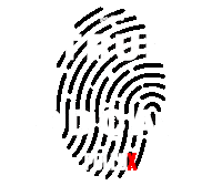 True Crime Podcast Sticker by Podimo