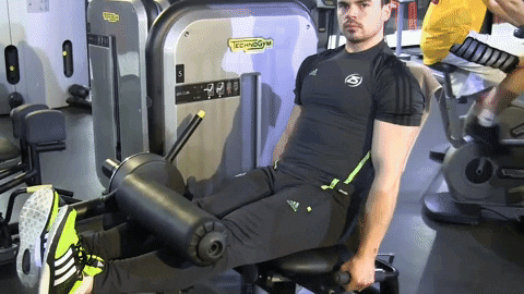 top10pulse giphyupload fitness workout leg strengthening exercises GIF