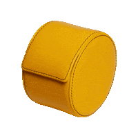 Watch Accessories Sticker by Kross Studio