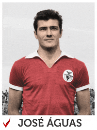 Sl Benfica GIF by Sport Lisboa e Benfica