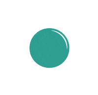 Circle Shape Sticker by Liddy Clark