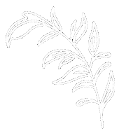 Alyandco Sticker