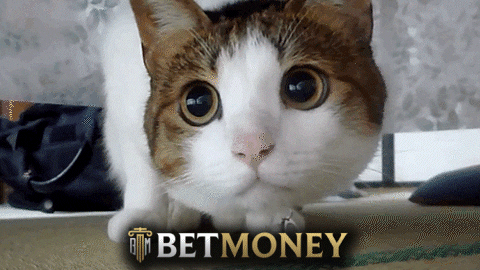 Car Bu GIF by BetMoney