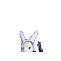 Br Fiestas Sticker by Black Rabbit