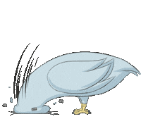 Bird Smashing Sticker by Jin
