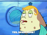 season 6 penny foolish GIF by SpongeBob SquarePants