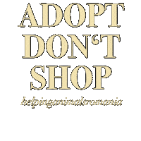 Dog Helping Sticker by helpinganimalsromania