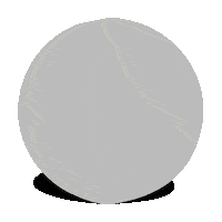 clubpatisantramon hockey hoquei penedes escut Sticker