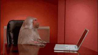 Monkey