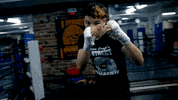 Boxing GIF