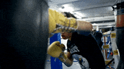 Boxing GIF