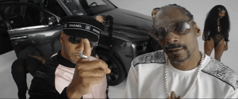 Swizz Beatz Countdown GIF by Snoop Dogg