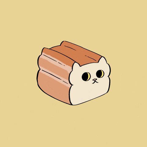 janicechun cat kitty sliced bread oh noes GIF