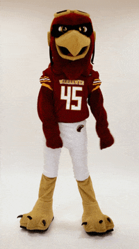 Ace Ulm GIF by University of Louisiana Monroe