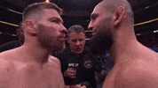 Sport Mma GIF by UFC