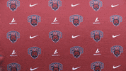 College Sports Sport GIF by CWU Athletics