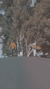 SafeStyle retro weekend surf skateboard GIF