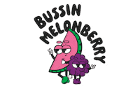 Watermelon Sommer Sticker by Sun Lolly