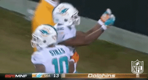 miami dolphins football GIF by NFL
