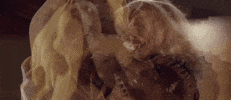 GIF by Ghostbusters 