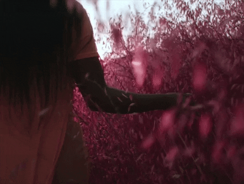 gunna giphydvr gunna baby-birkin giphygunnababybirkin GIF