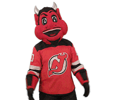 Ice Hockey Idk Sticker by NHL