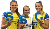 SSCPalmberg_Schwerin volleyball ssc schwerin sscpalmbergschwerin Sticker