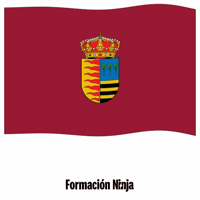 Castilla Y Leon Bandera GIF by Formación Ninja
