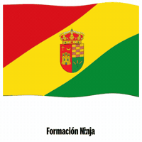 Castilla Y Leon Flag GIF by Formación Ninja