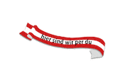 tenne_schladming  Sticker