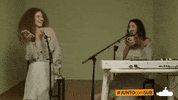 GIF by Submarino